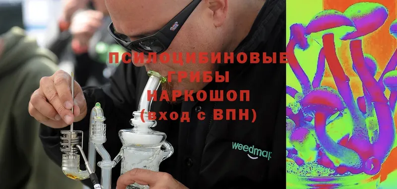 omg сайт  Кондрово  Псилоцибиновые грибы Magic Shrooms 